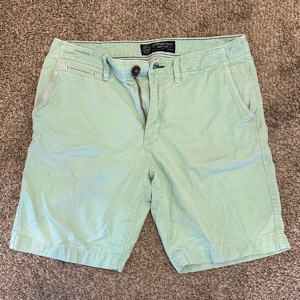 American Eagle Outfitters Men's Mint Green Shorts
